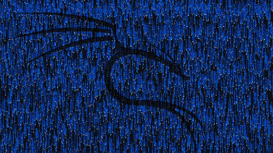 kali-blue-matrix